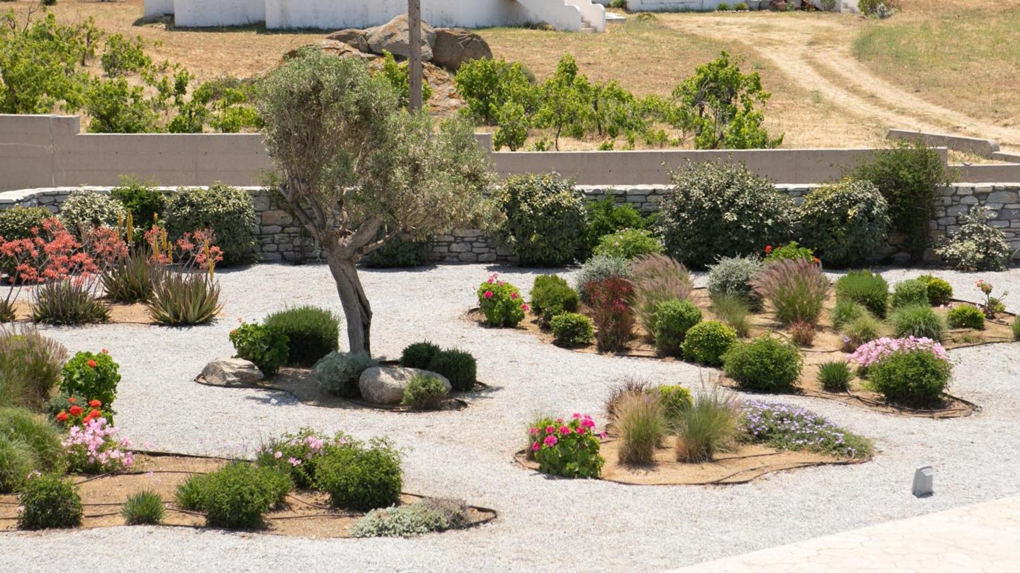 Olives Rocks Naxian Villas Agia Anna  Zewnętrze zdjęcie