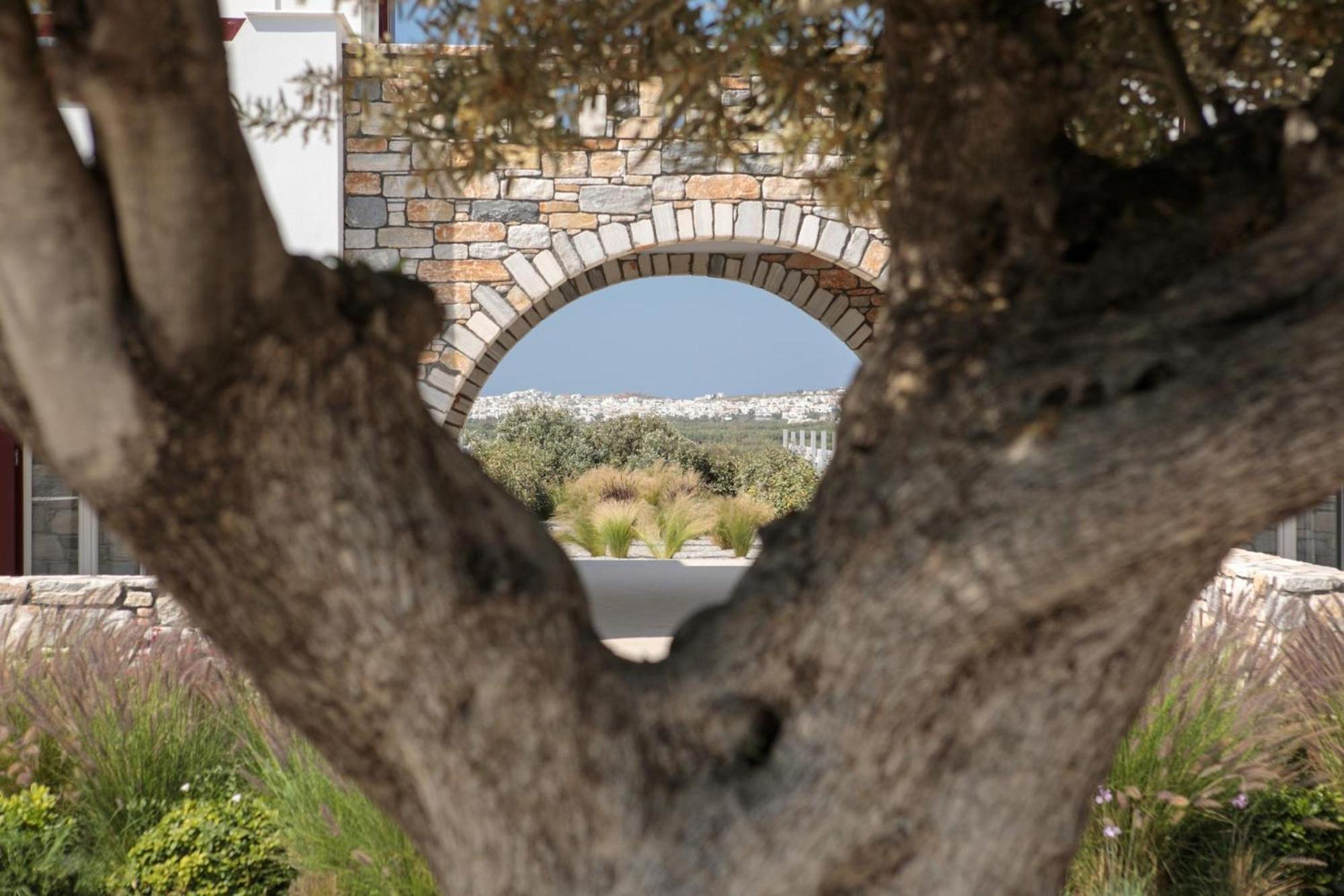 Olives Rocks Naxian Villas Agia Anna  Zewnętrze zdjęcie